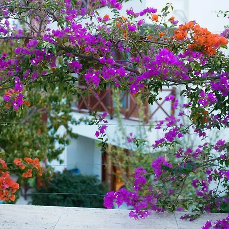 Cettia Daily Weekly Villa
